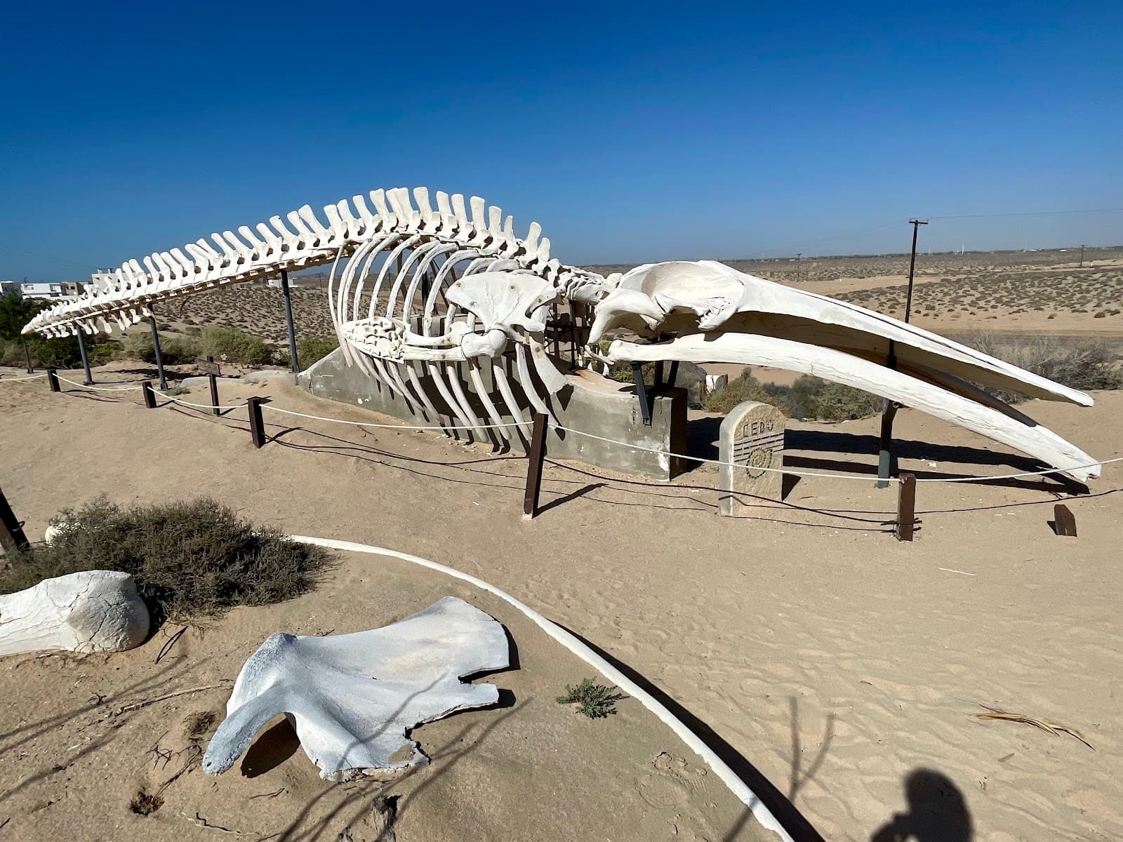 CEDO Intercultural Center - Image 1