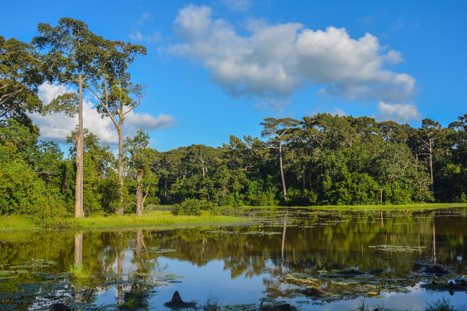 Dulahazara Safari Park - Image 1