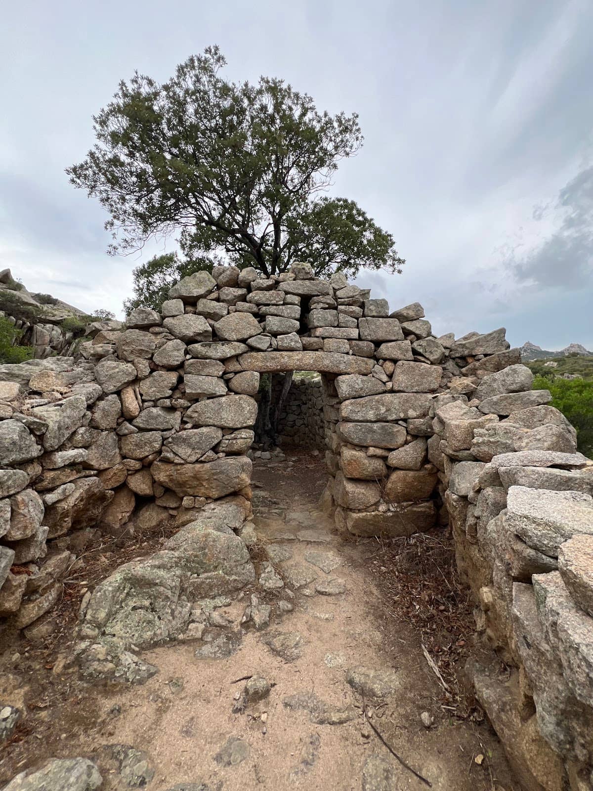 The Nuragic Civilization