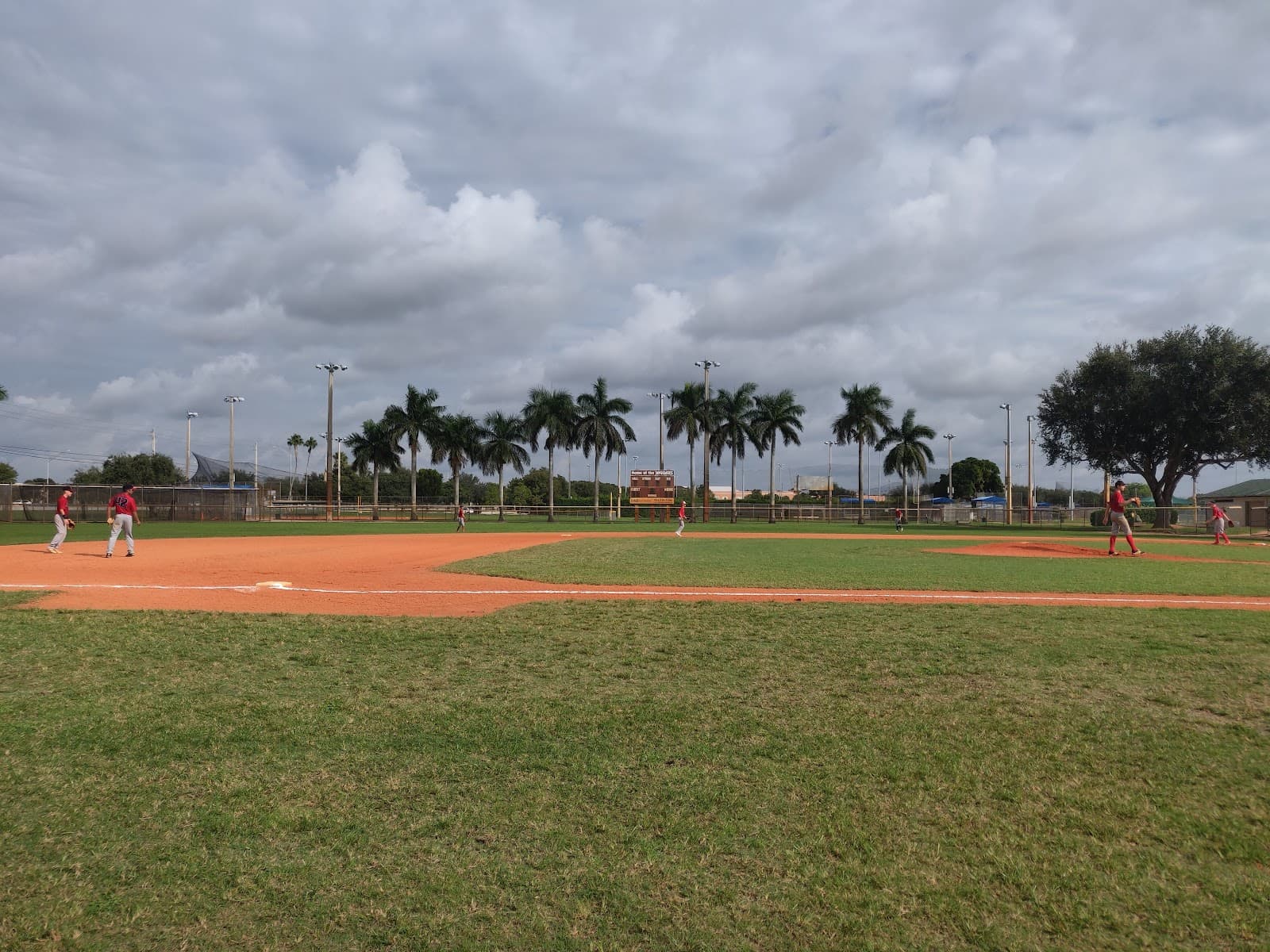 Flamingo Park - Image 1