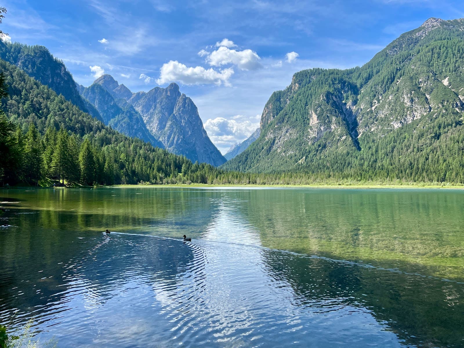 Lago di Dobbiaco (Toblacher See) - Image 1
