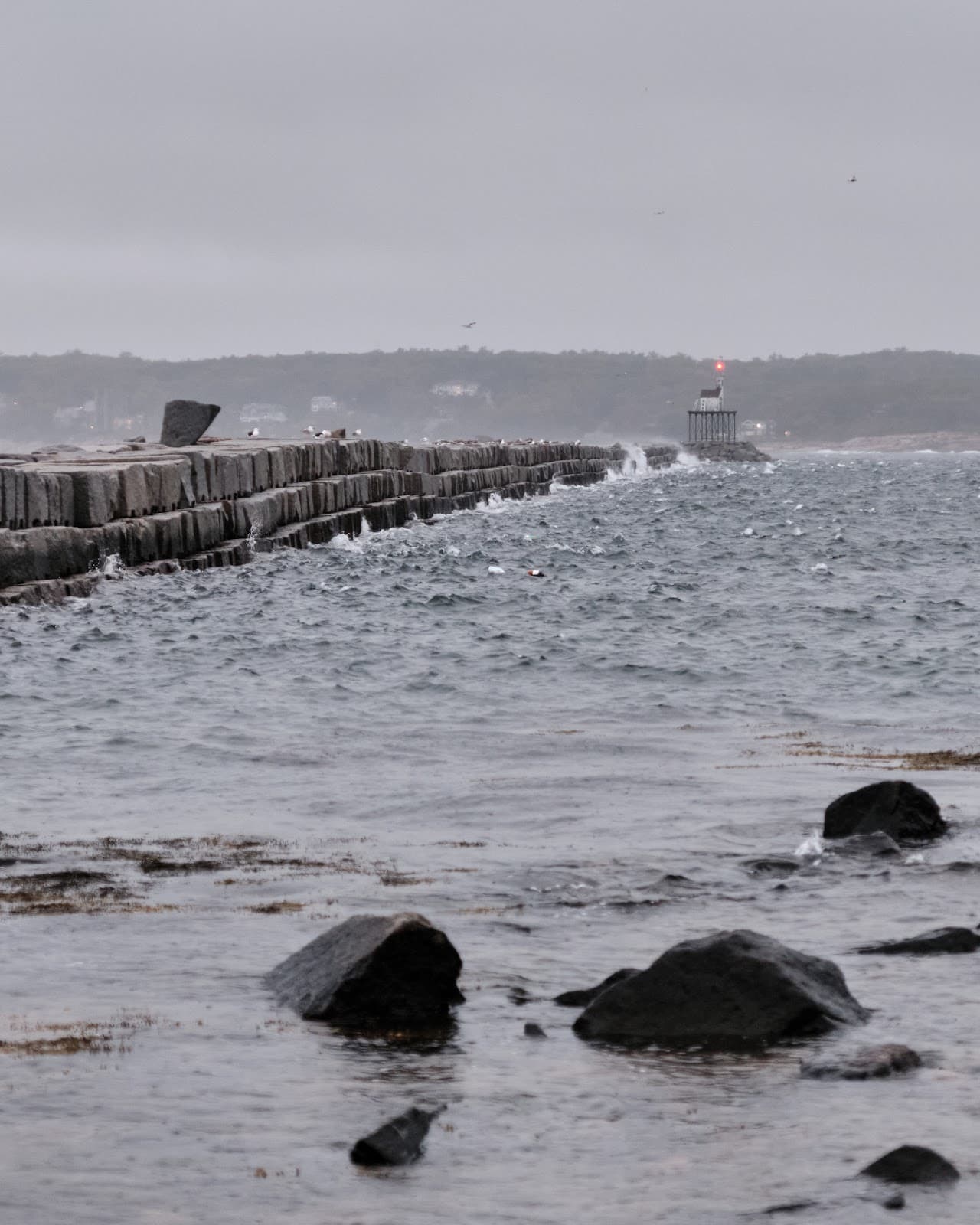 Dog Bar Breakwater and Breakwater Light - Image 1