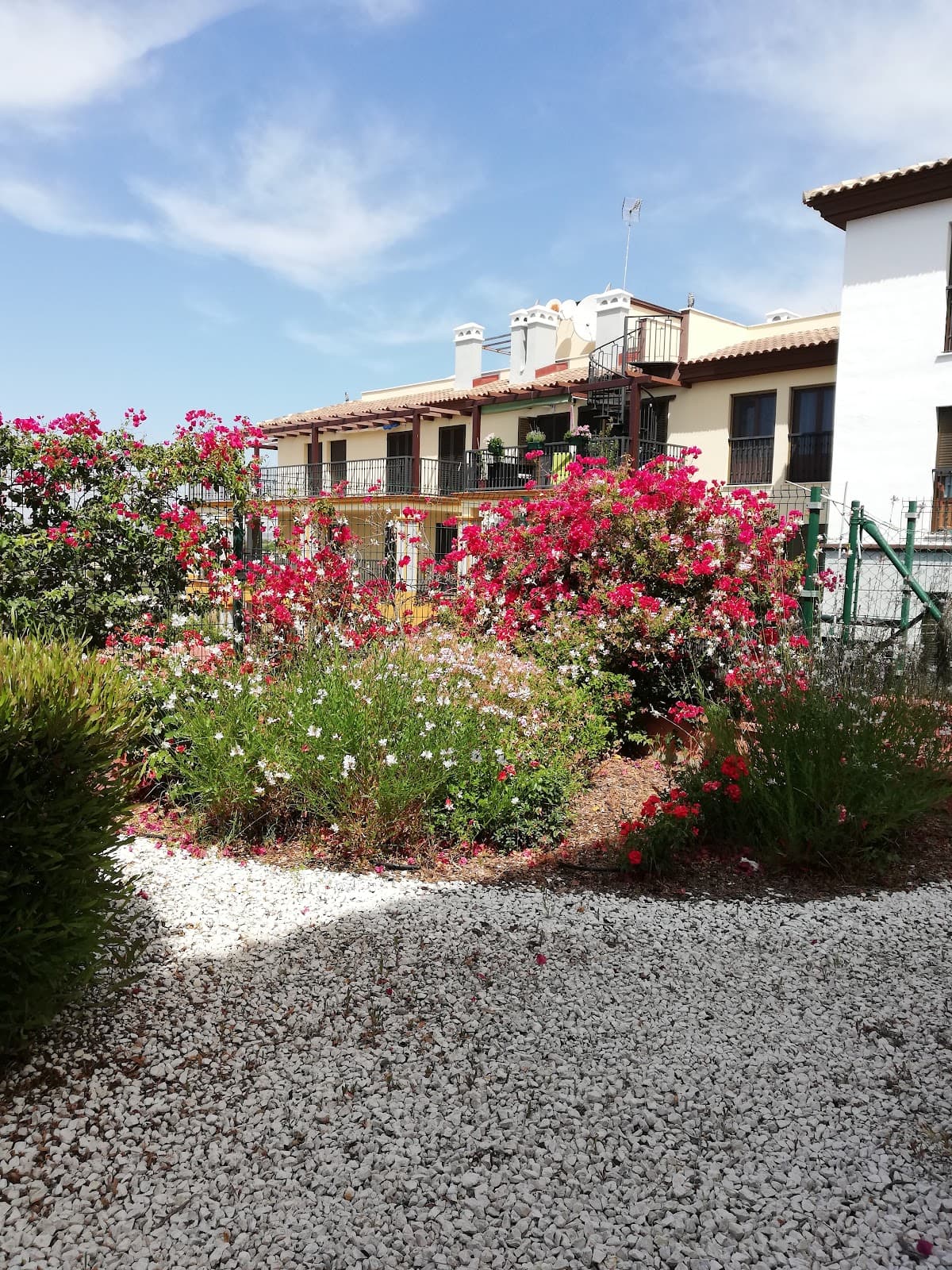 Costa Esuri - Image 1