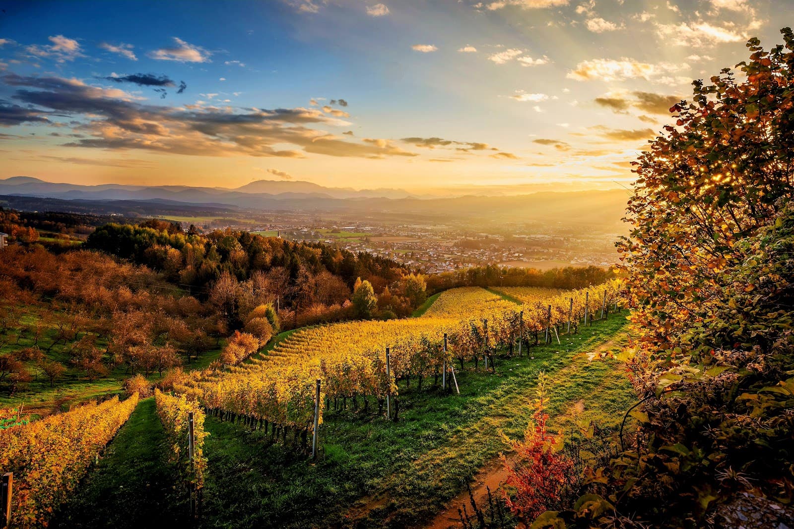 Lavanttal Panoramaweg - Image 1