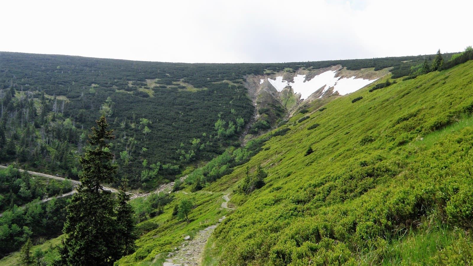 Biały Jar - Image 1