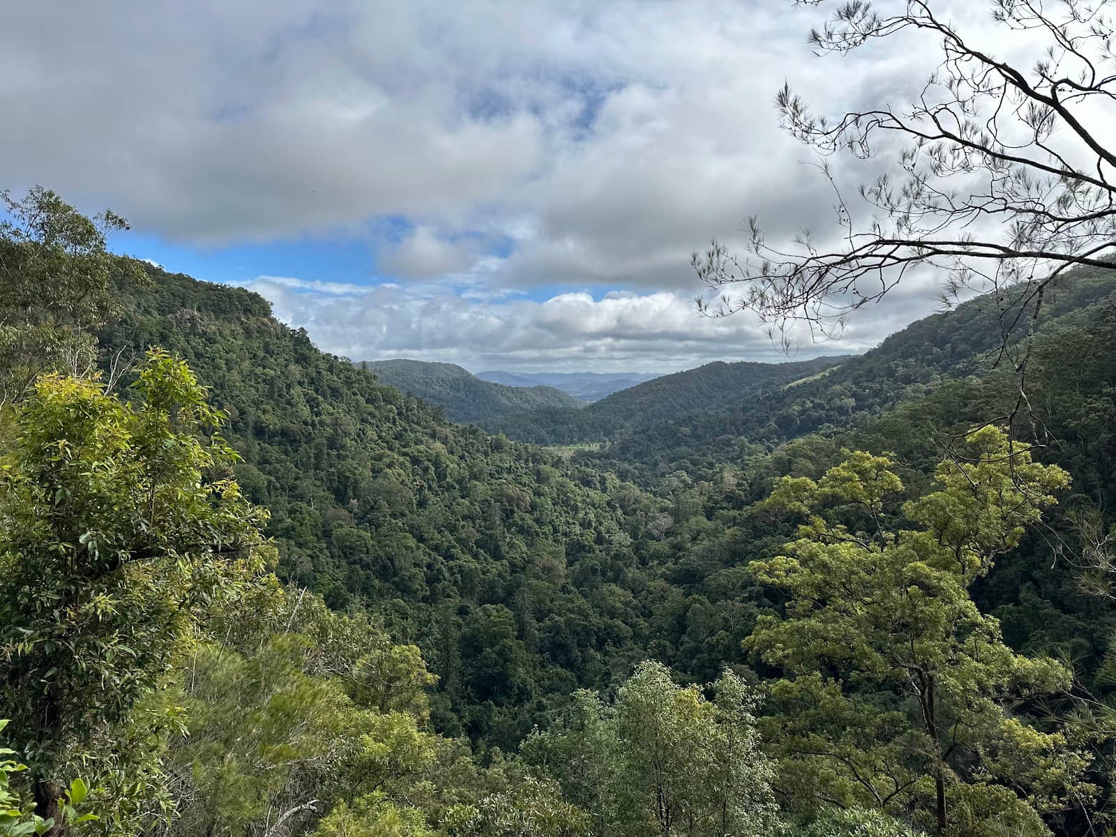 Rainforest Circuit Walk
