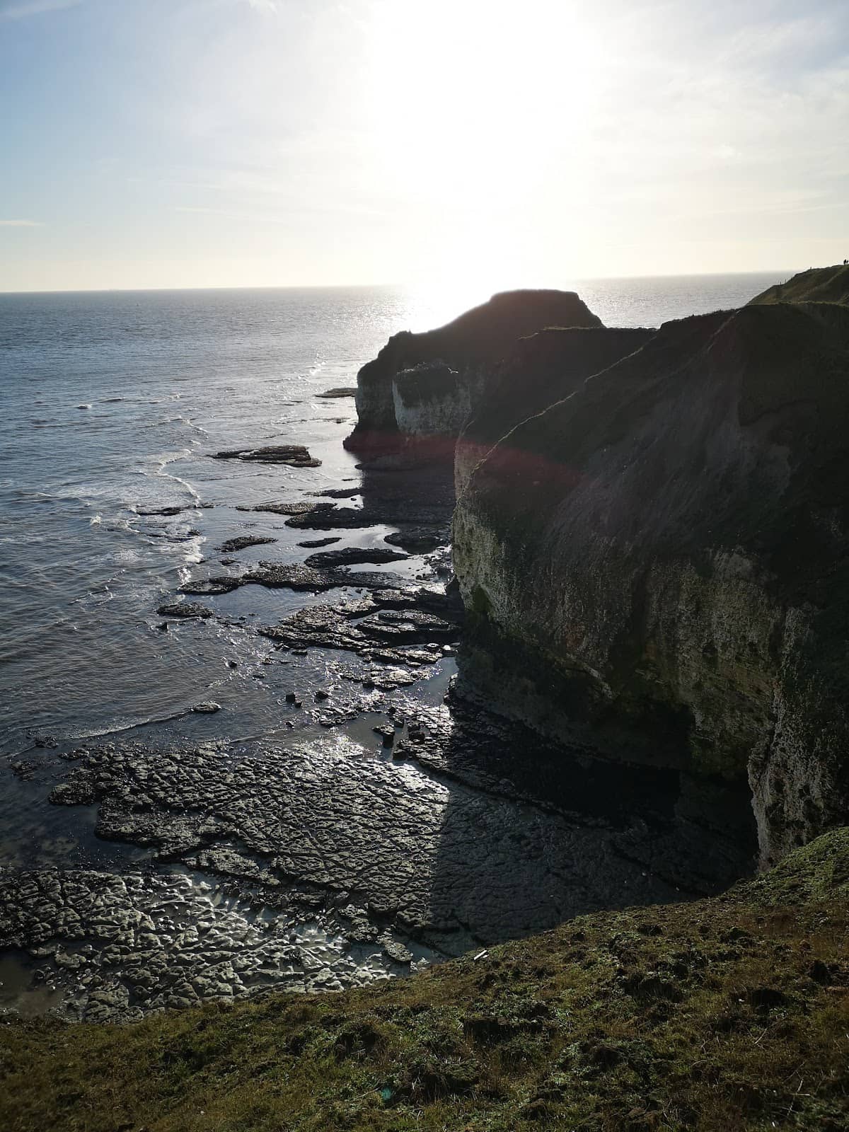 Vertical photo