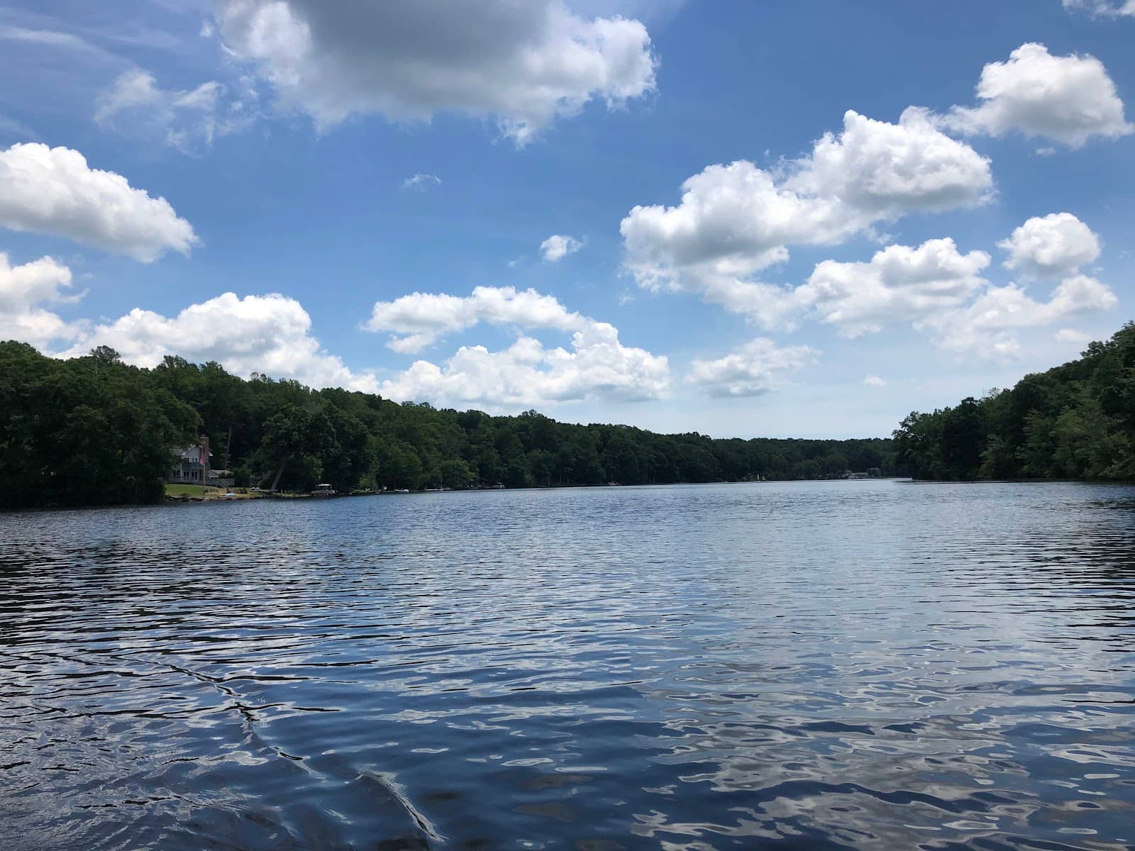 Dog-Friendly Swimming