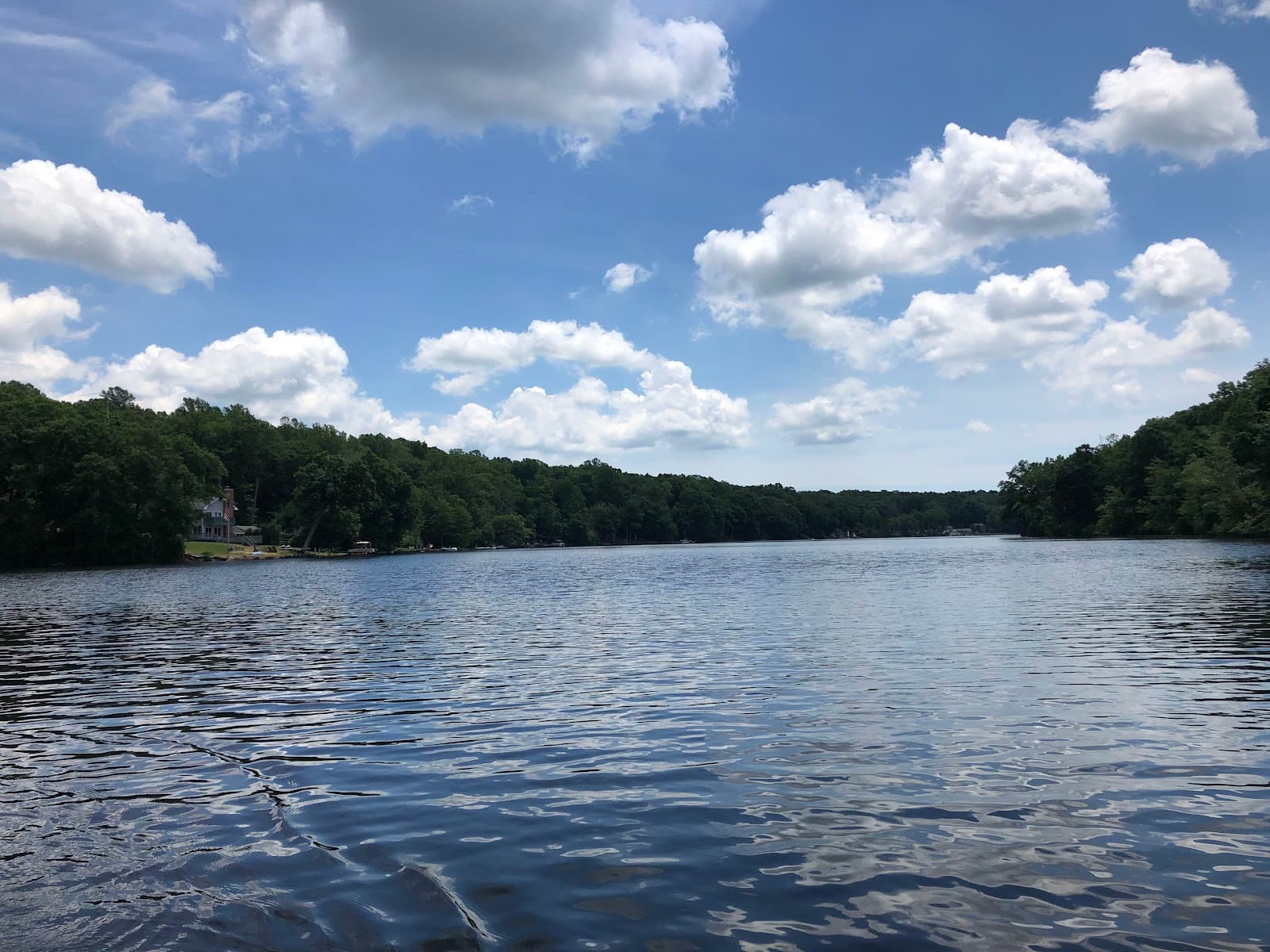Pickerel Lake - Image 1