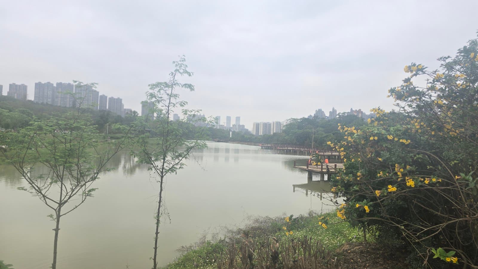 Guangxi Medicinal Herb Garden Nanning - Image 1