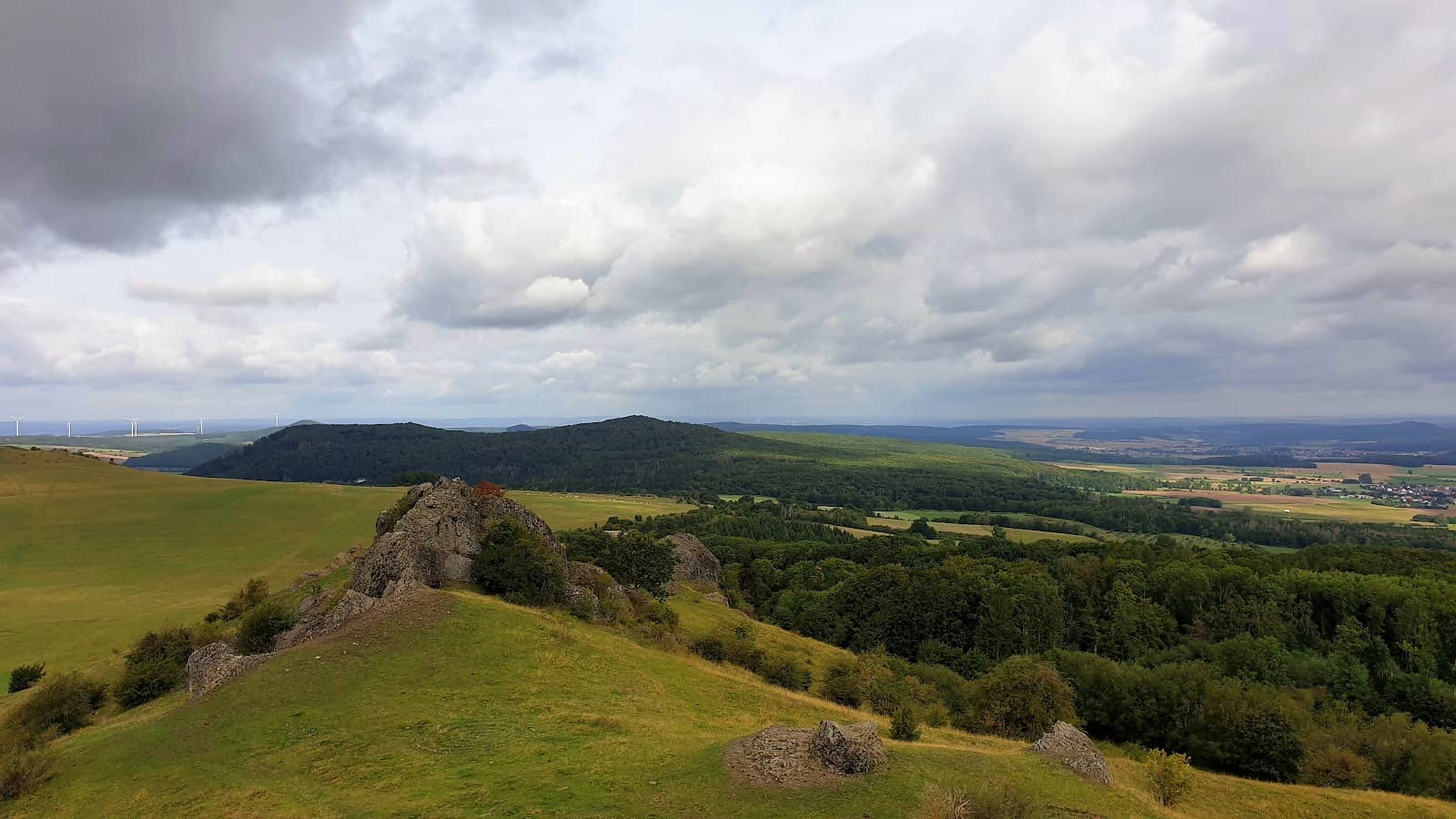 Grazing Cows & Open Peaks