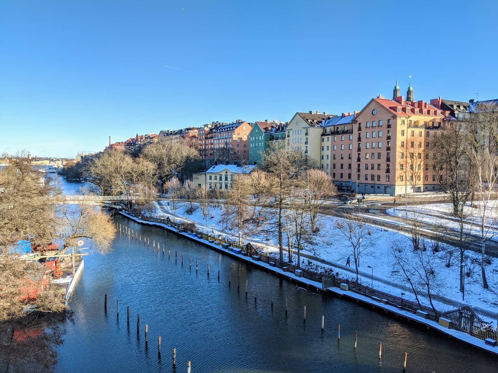 Diverse Food Truck Scene