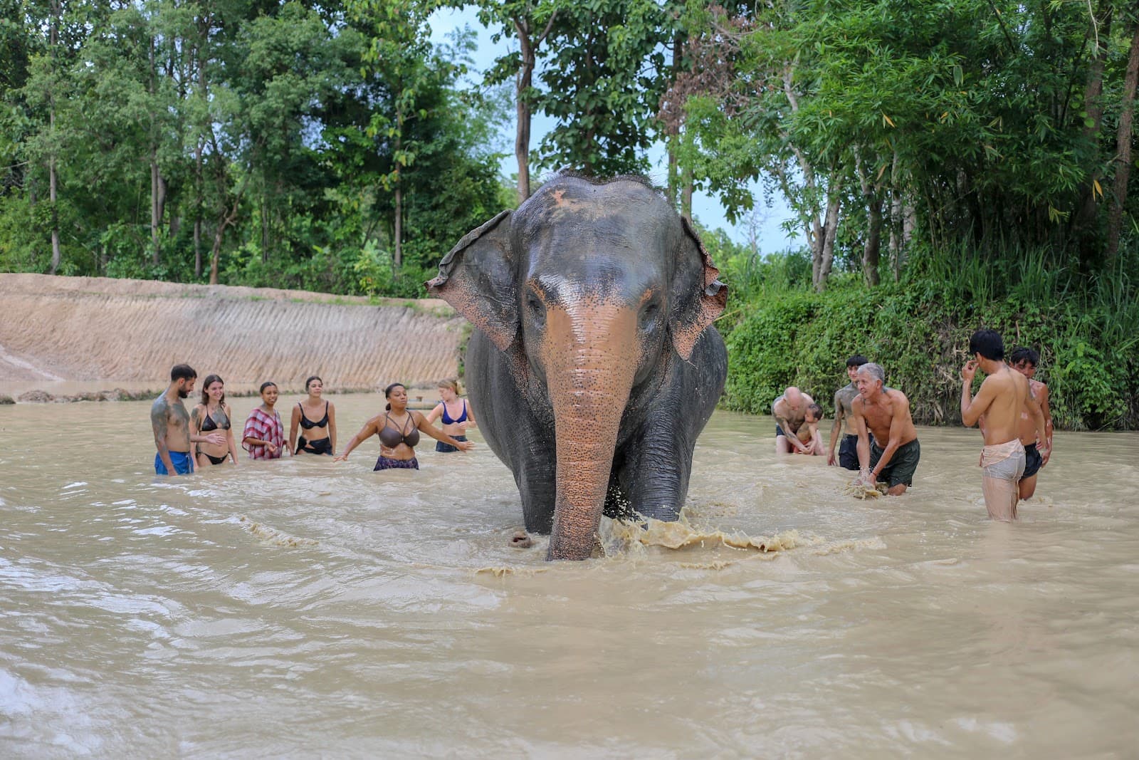 Mae Rim Elephant Sanctuary - Image 1