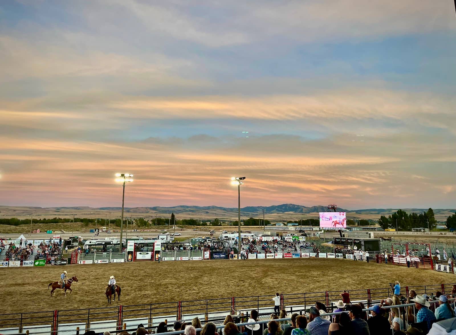 Brewfest & Food Vendors