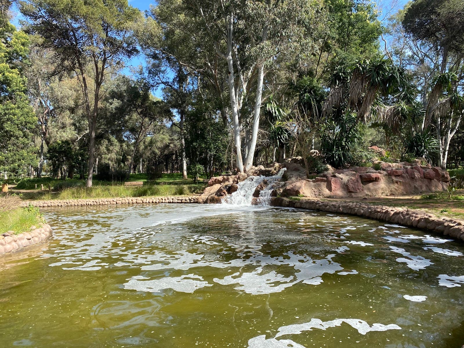 Ibn Sina Forest (Hilton Forest) - Image 1