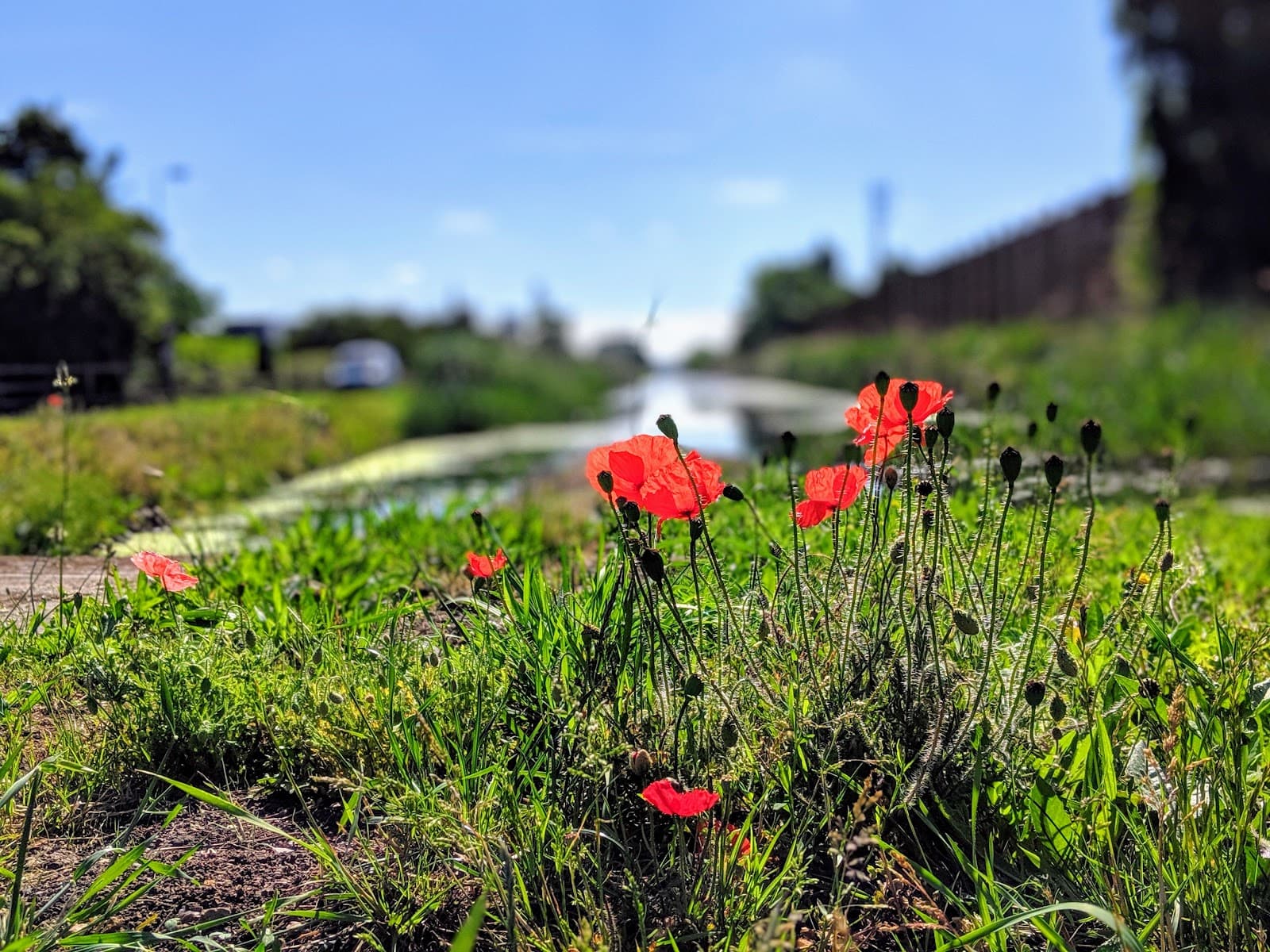 Thames & Medway Canal (Gravesend Basin) - Image 1