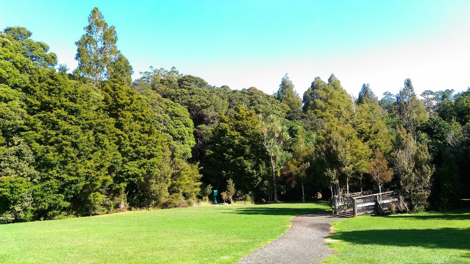 Trounson Kauri Park - Image 1