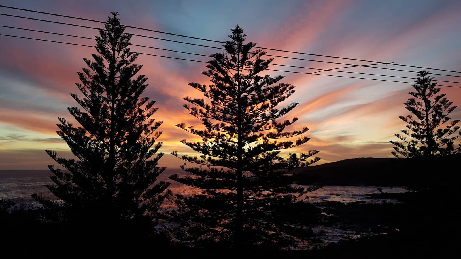 Scenic Coastal Walk