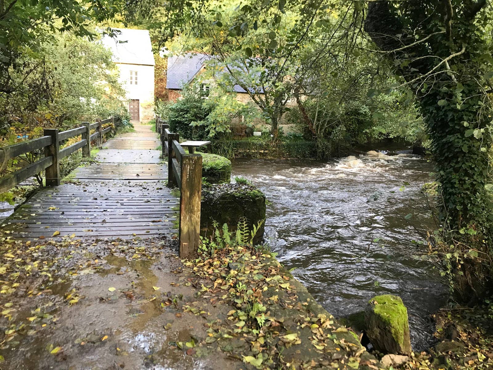 Family Nature Discovery