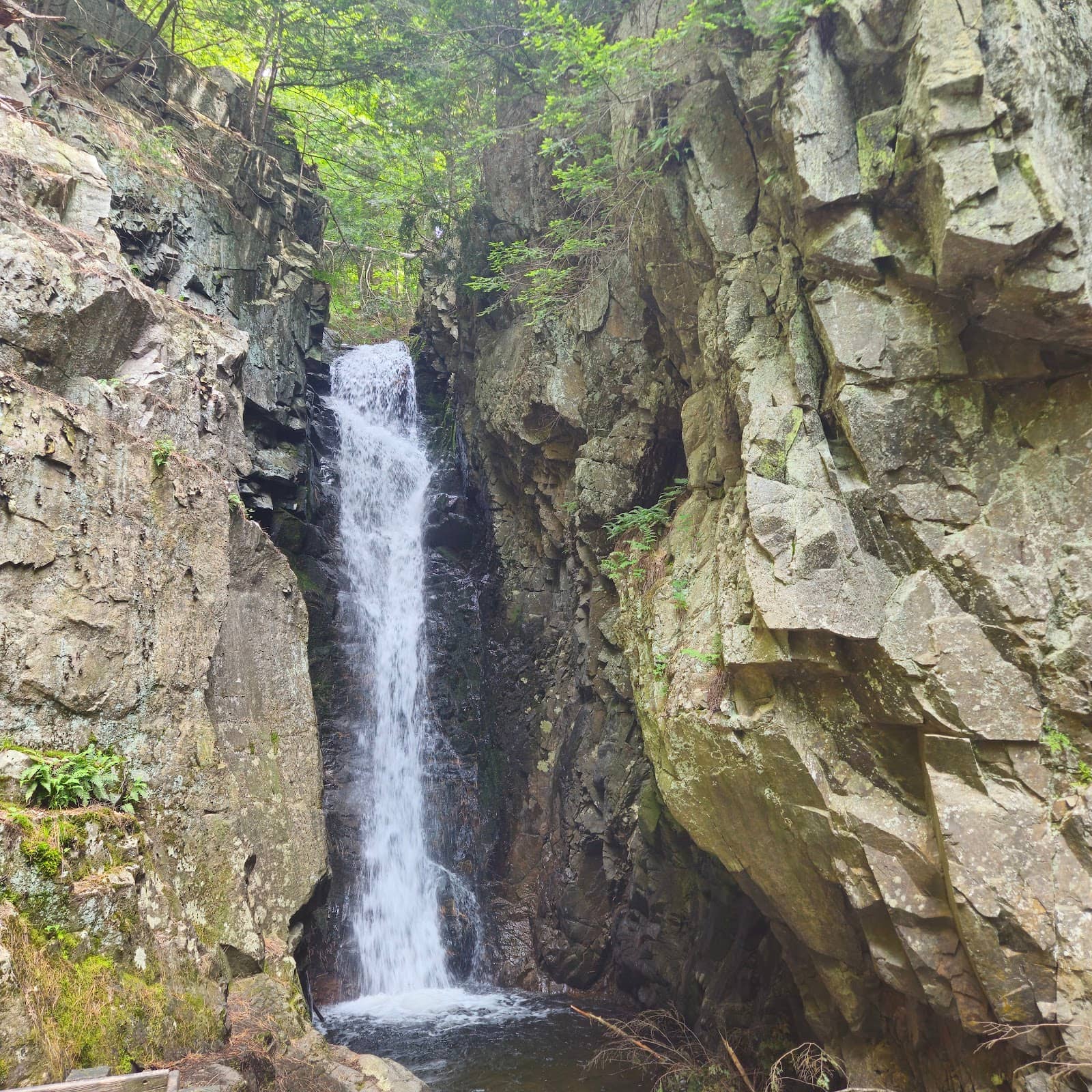 Castle in the Clouds Grounds