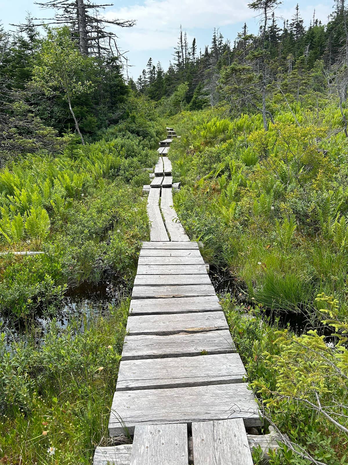 Rocky Ascent & Descent
