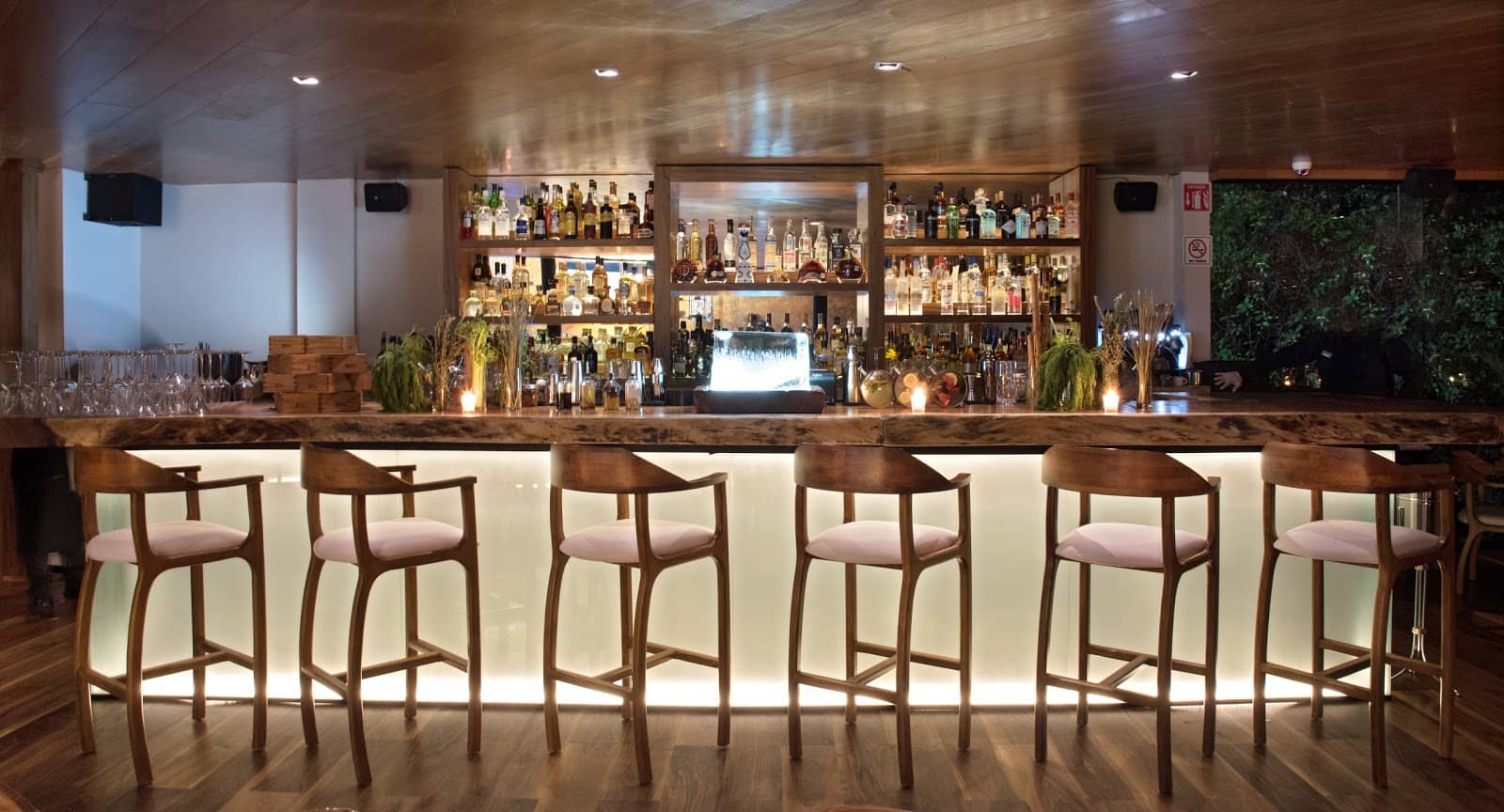 Vibrant Evening Entertainment