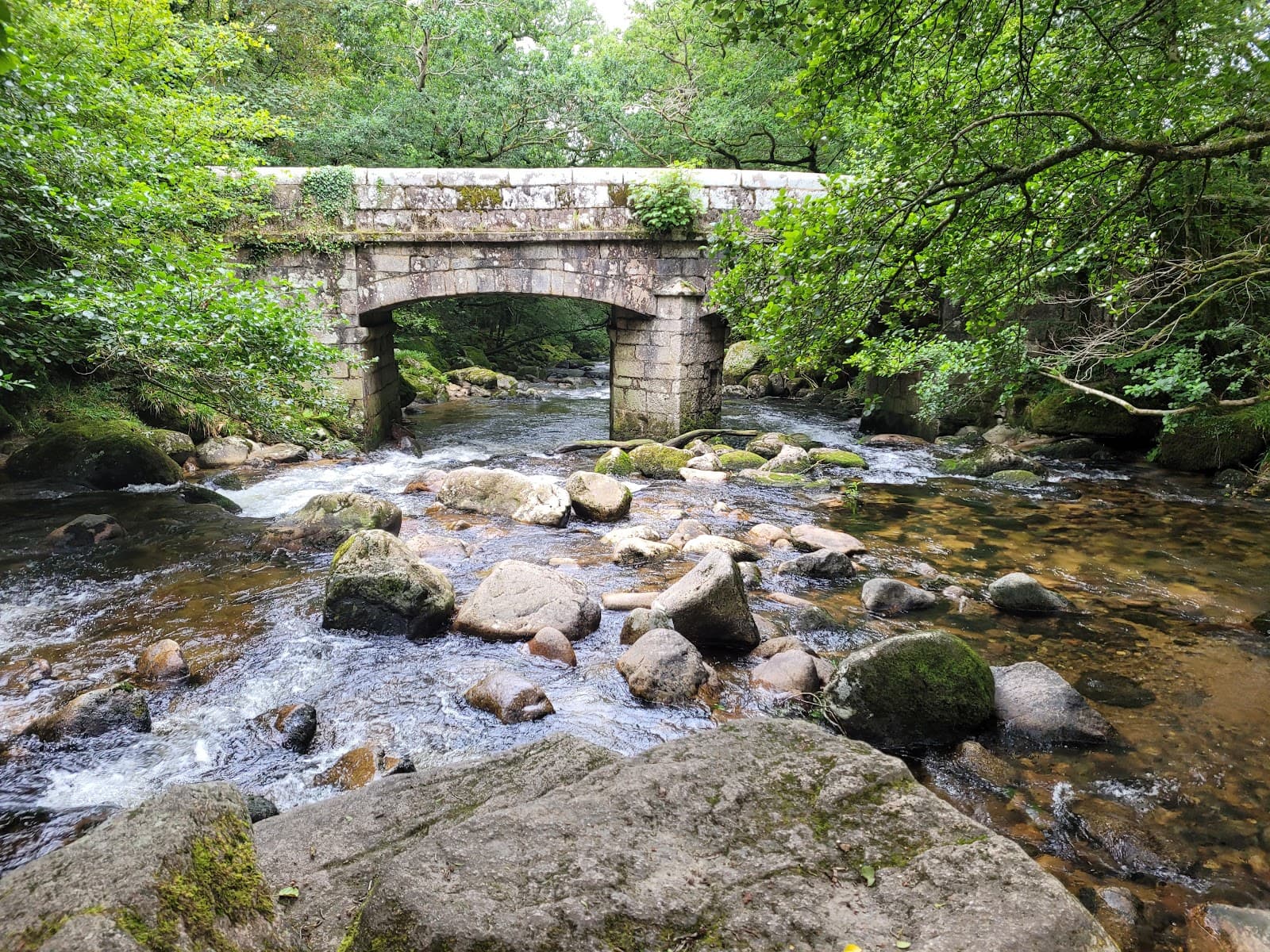 Plym Valley Trail - Image 1