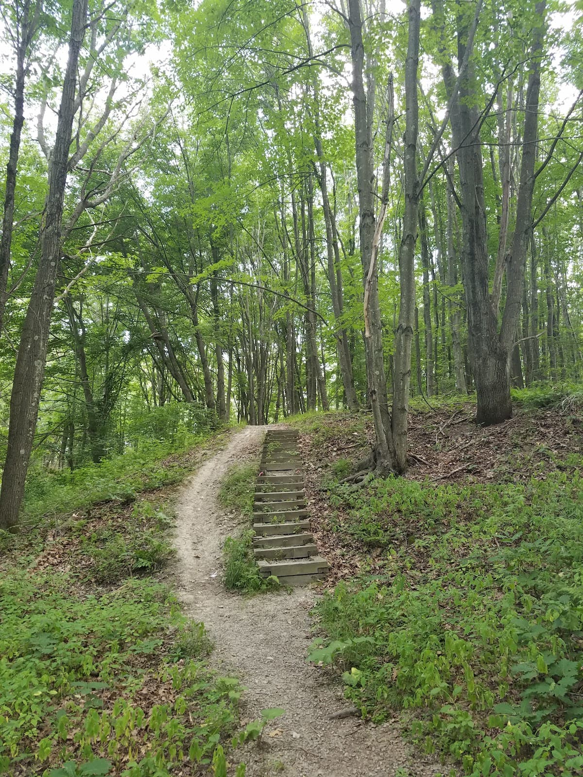 Clark’s Pond Trail - Image 1