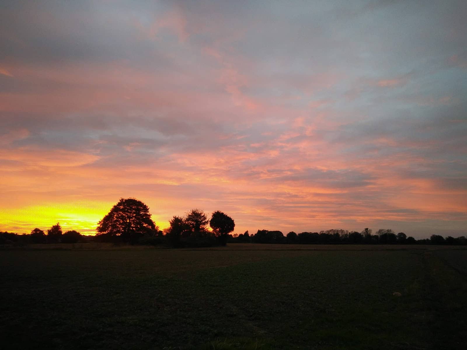 Legendary Pastrami Reuben