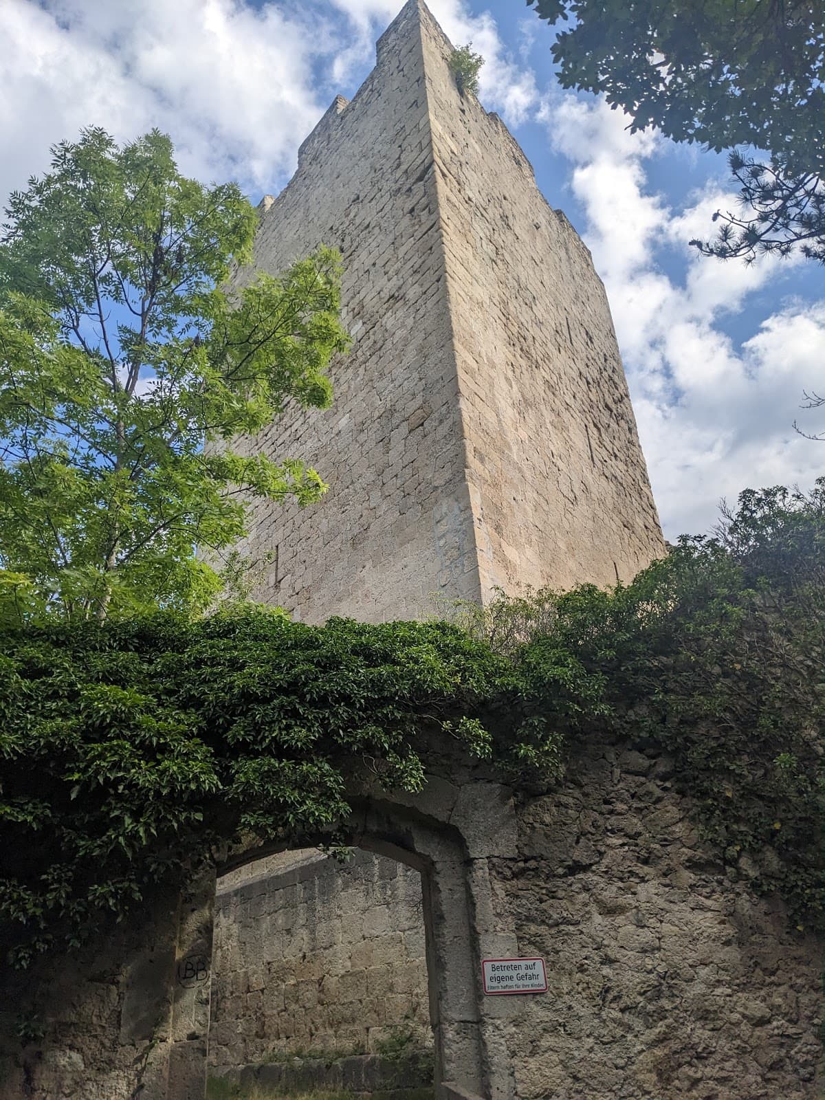 Rauheneck Ruin - Image 1