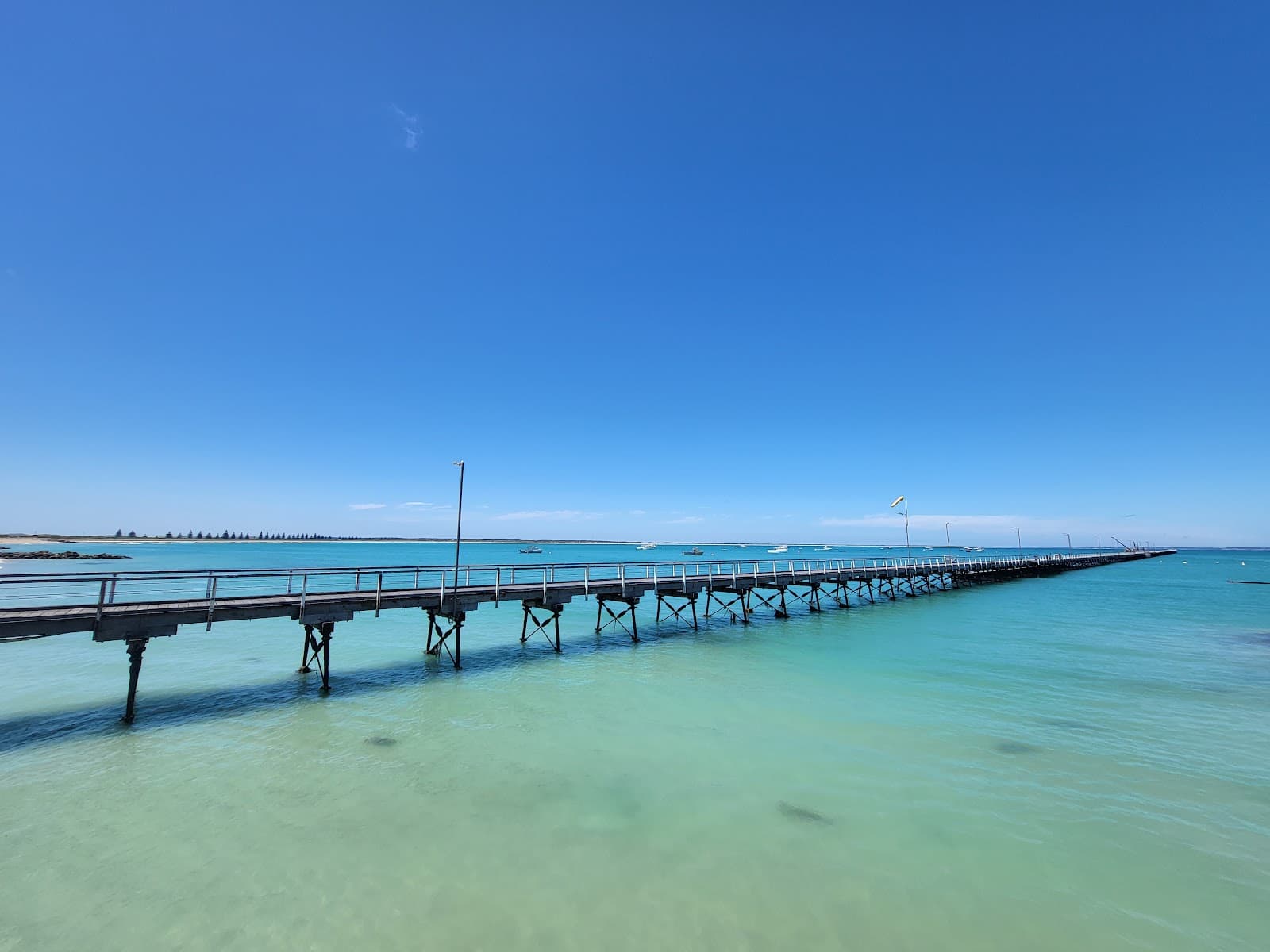 Beachport Jetty - Image 1