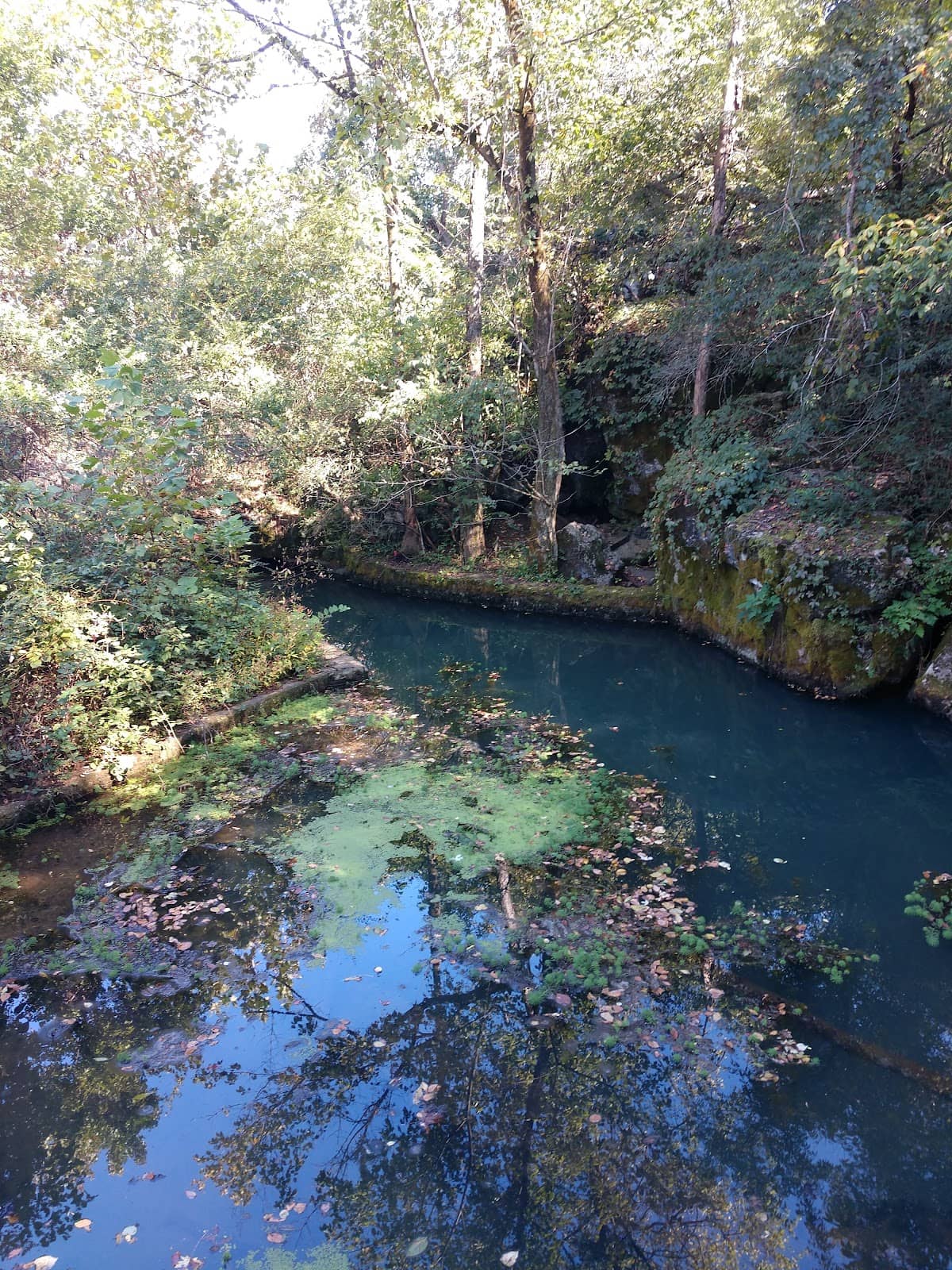 Discovery Center Area