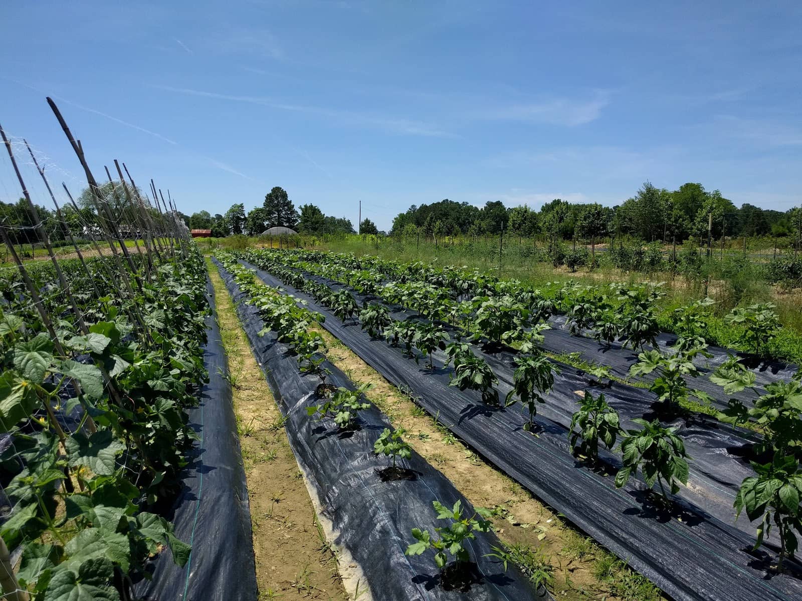 Volunteer Workdays