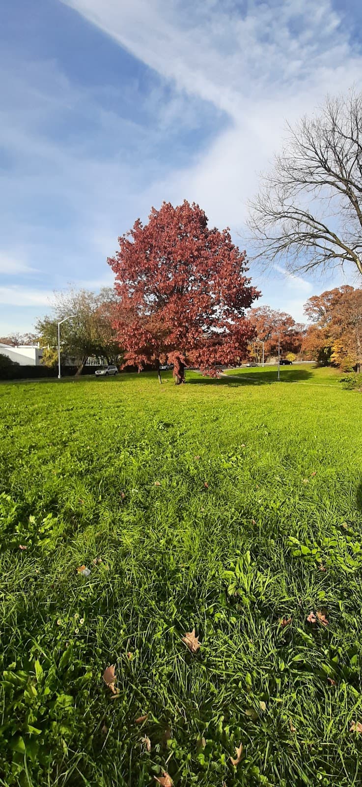 Bronx Park - Image 1