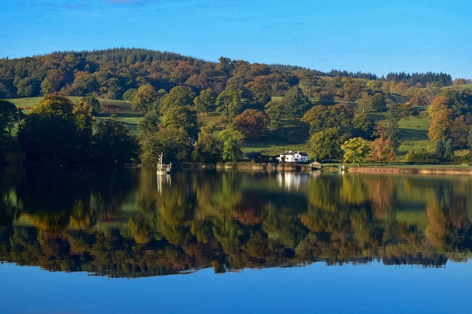 Osprey and Birdwatching