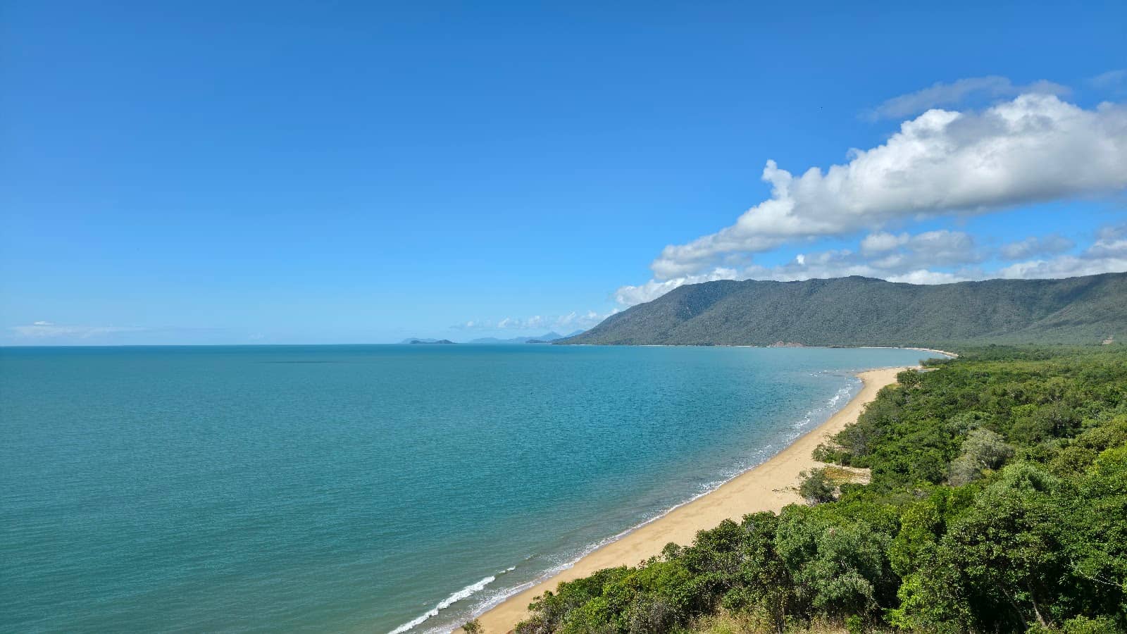 Tranquil Rainforest Escape