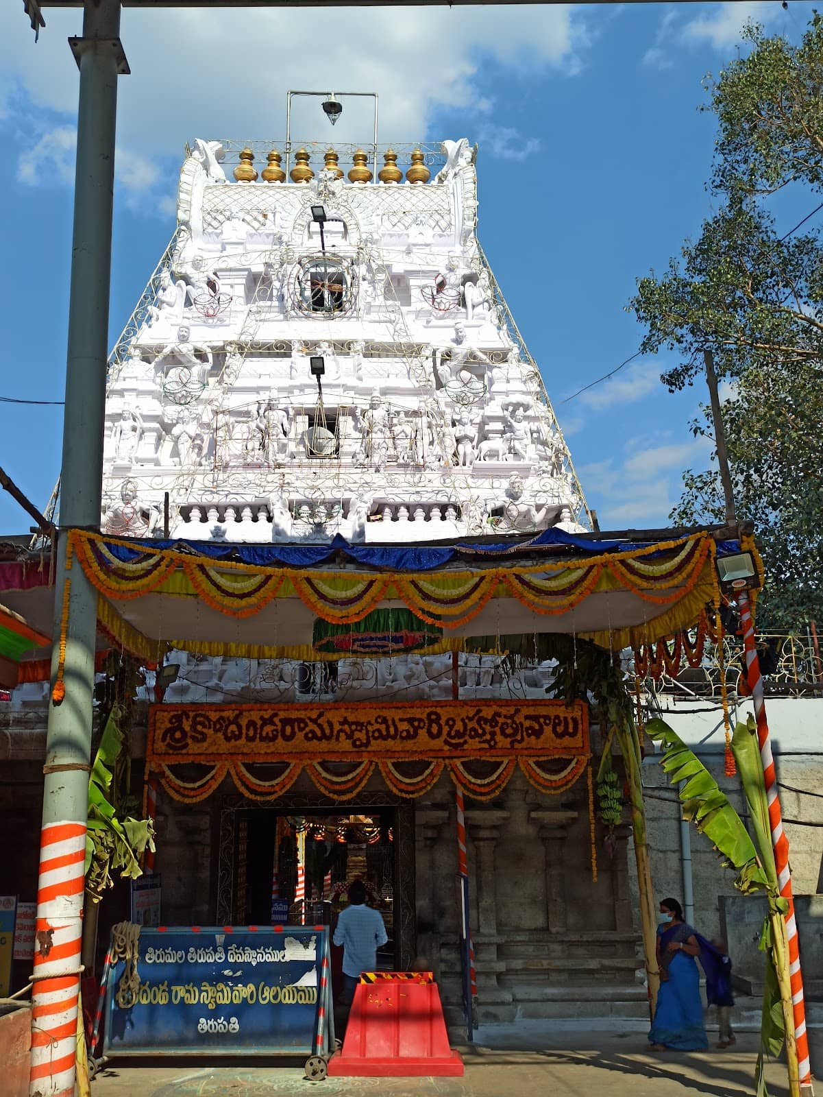 Vertical photo
