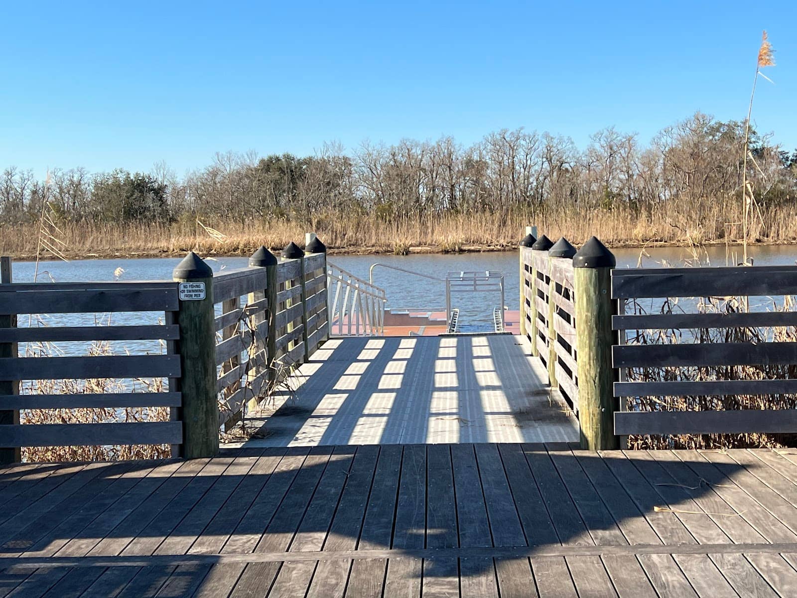 Wildlife Viewing