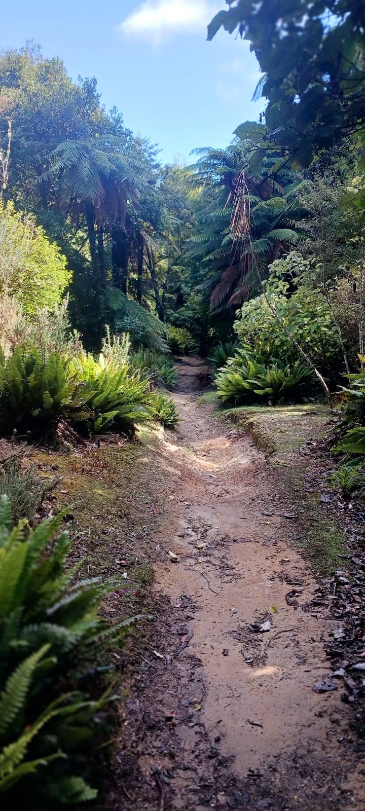 Vertical photo