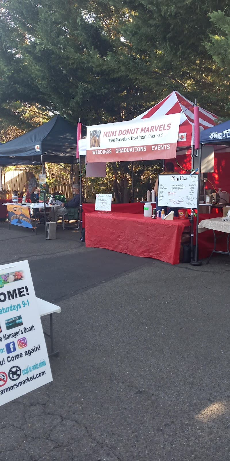 Umpqua Valley Farmers Market - Image 1