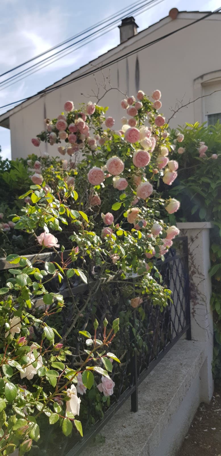 Saint-Augustin district - Image 1