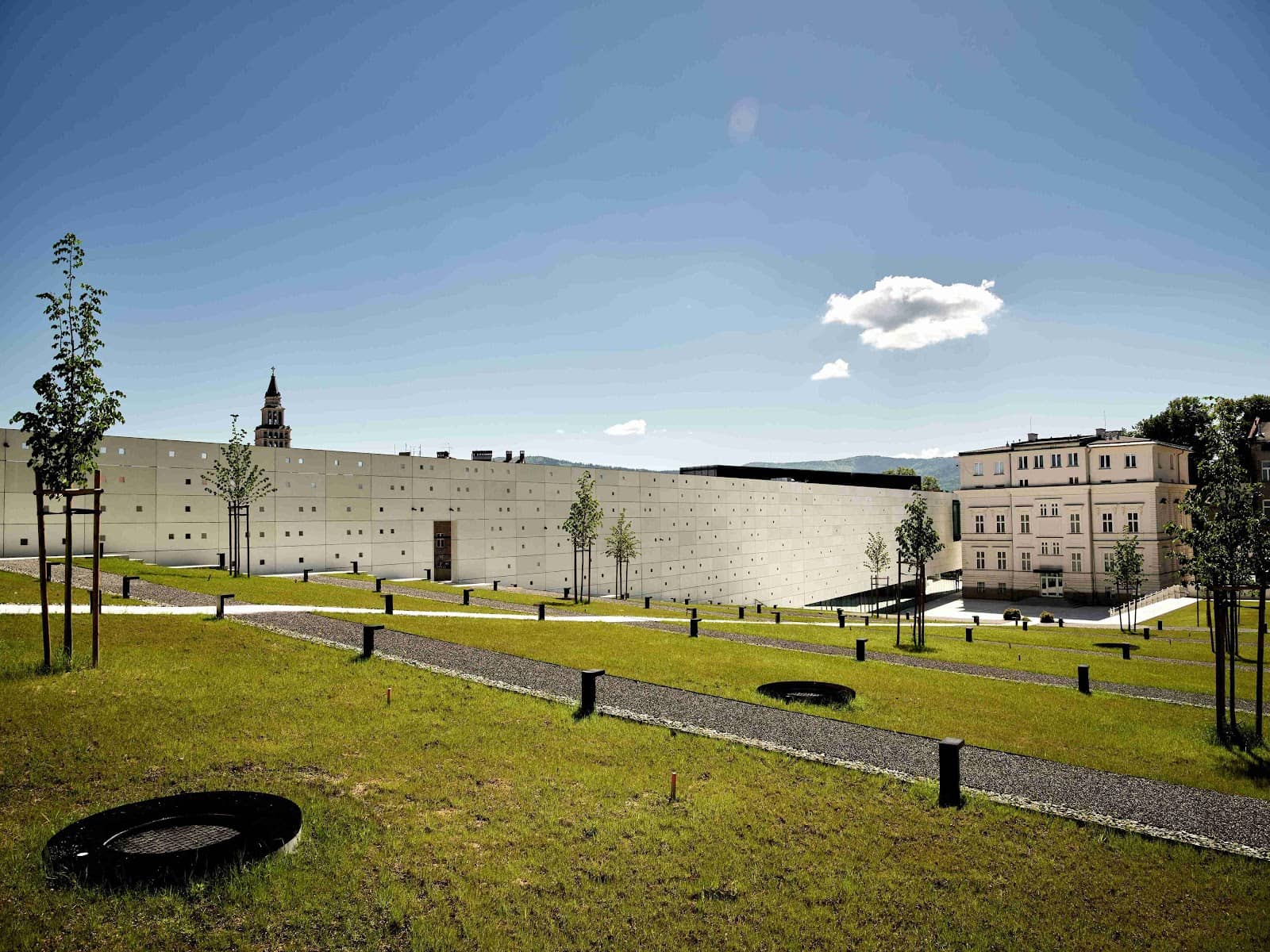 Cult Polish Animation