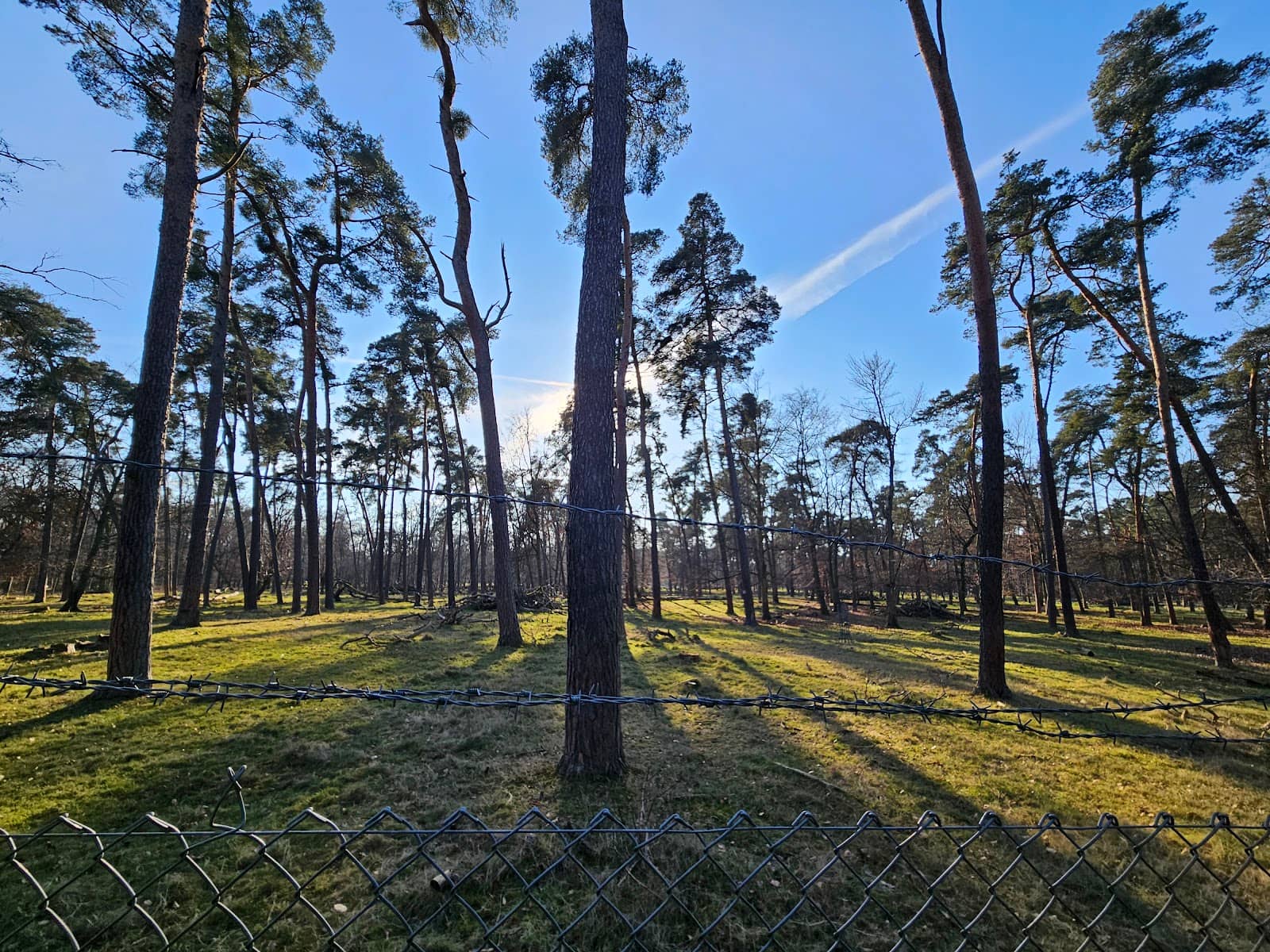 Peaceful Walking Trails