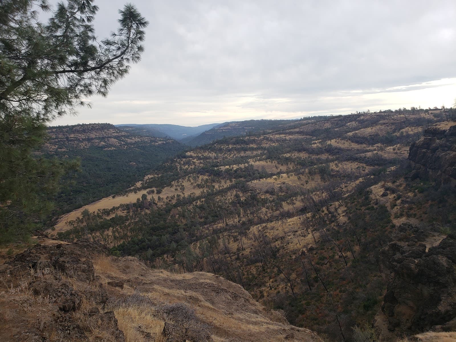 Peregrine Point Disc Golf Course - Image 1
