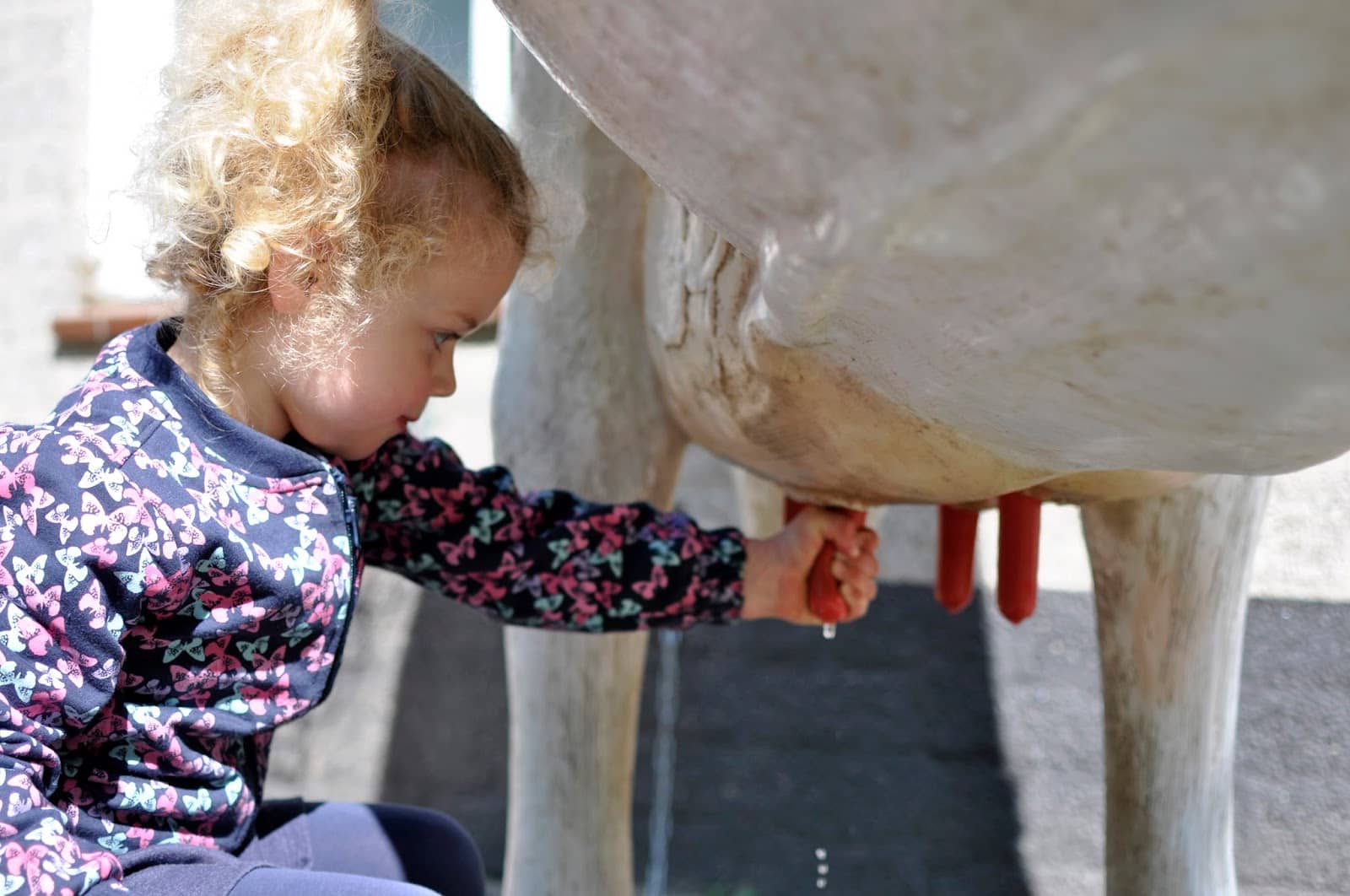 Farmhouse Cafe & Eco-Shop