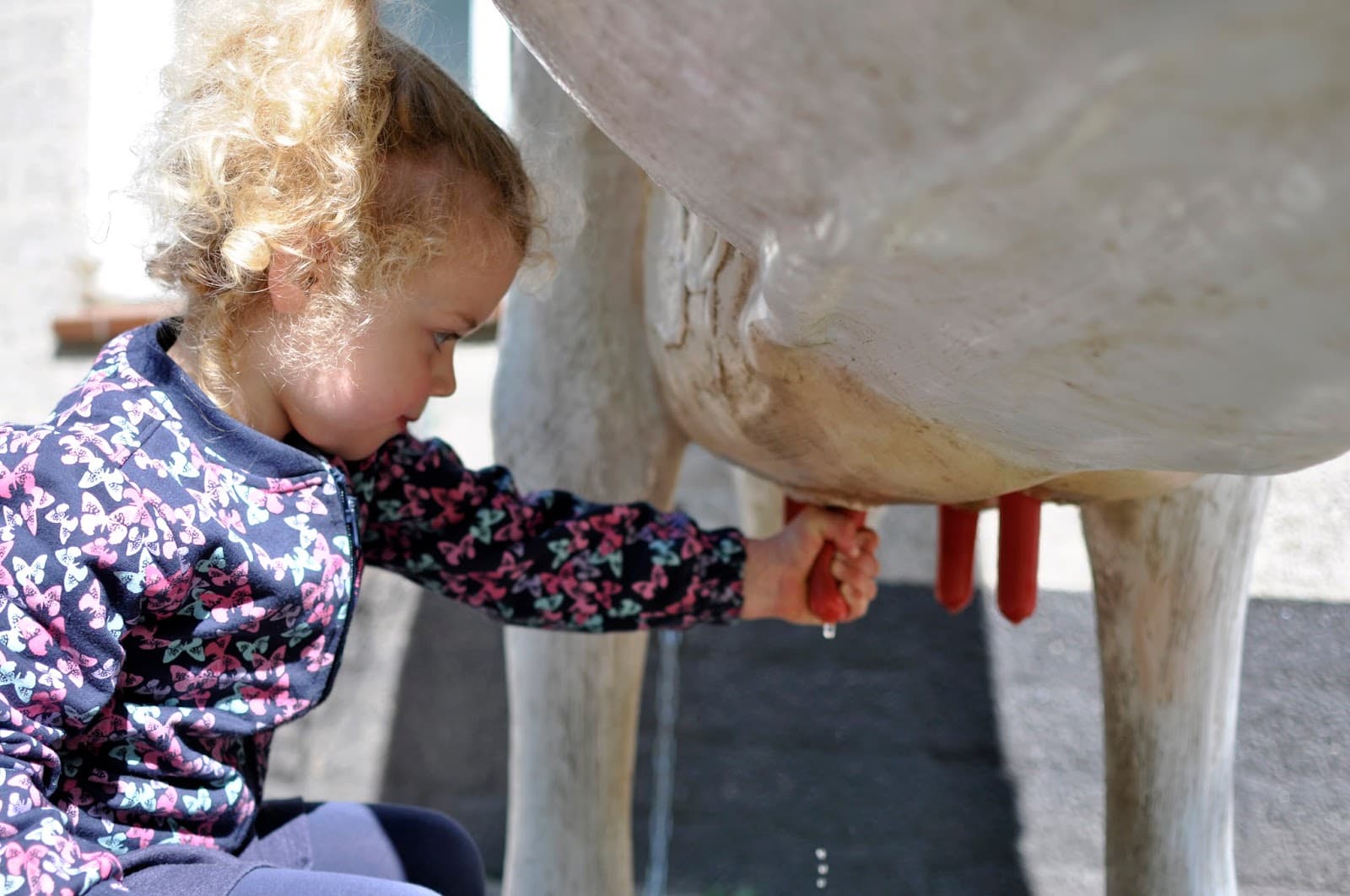 Wolfslaar City Farm - Image 1