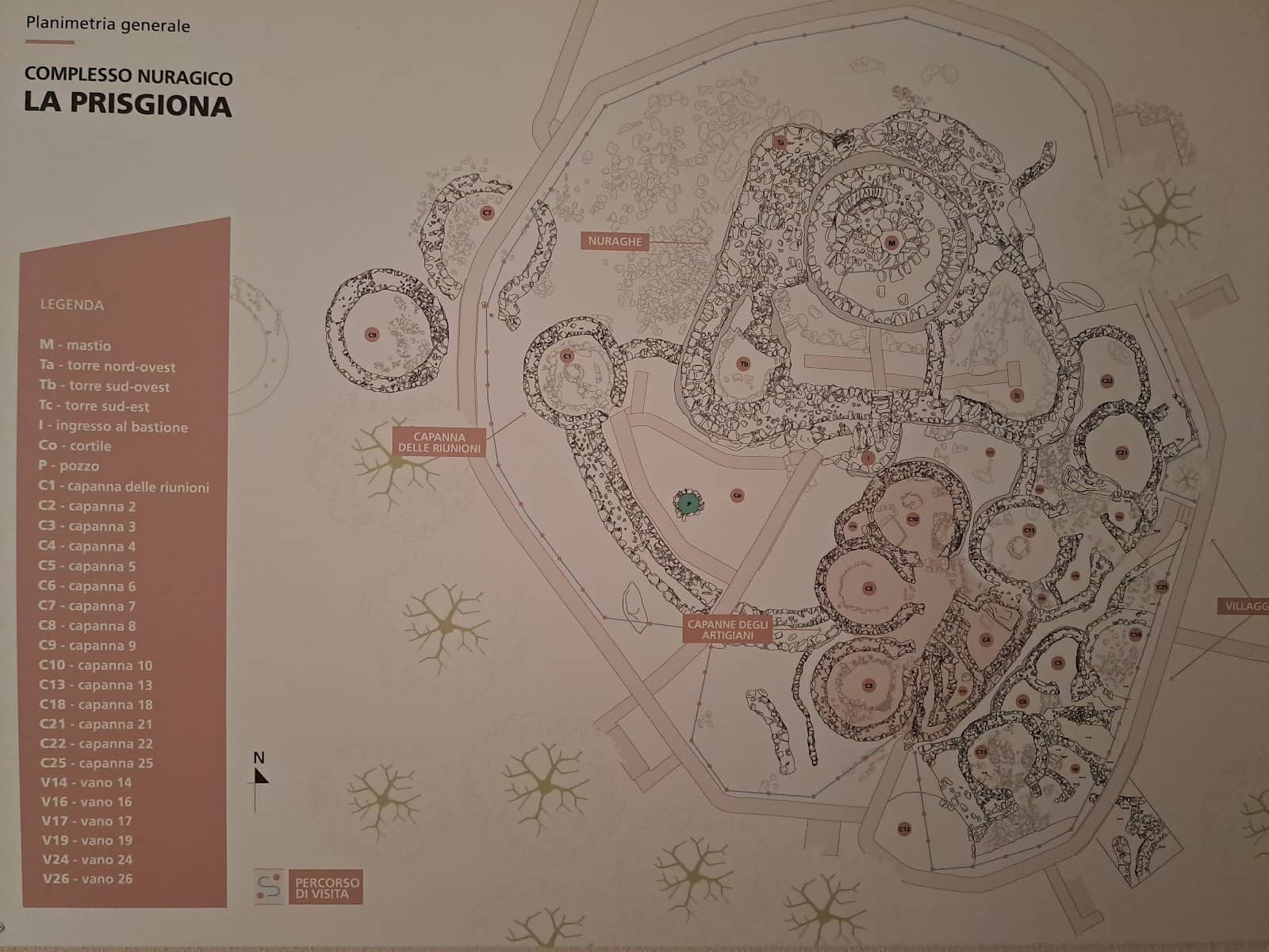 Roman Coin Hoard Preview