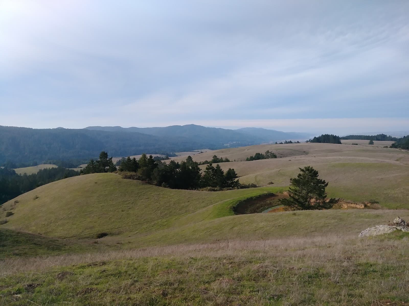 Bolinas Ridge Trail - Image 1