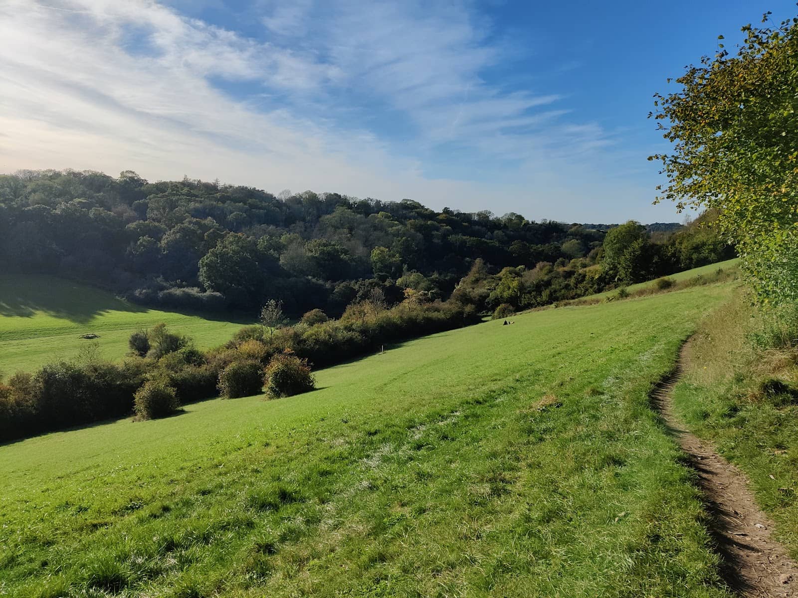 Horse-Riding Circuits