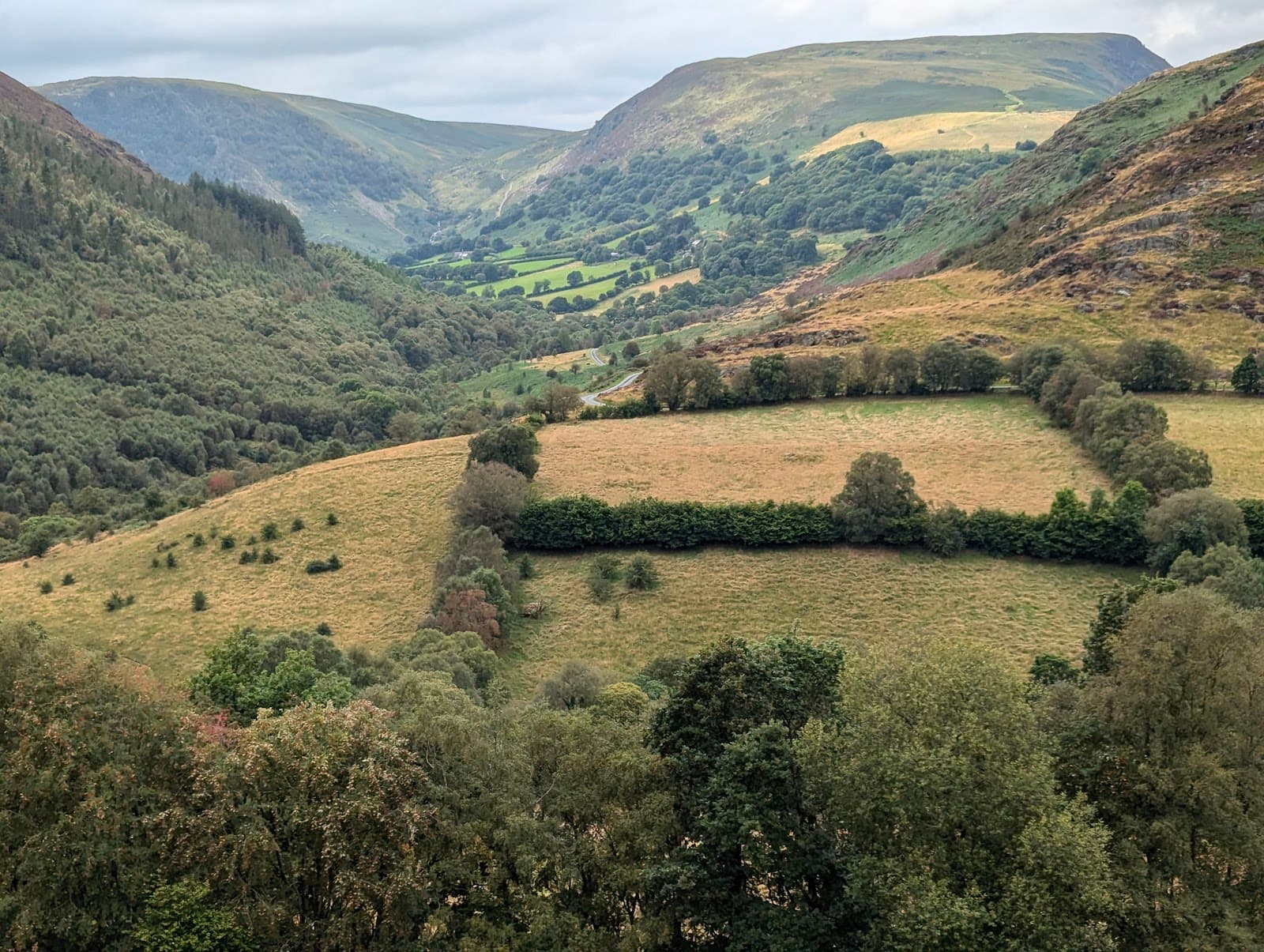 Gilfach Nature Reserve - Image 1